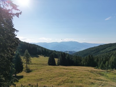 almhaus-schiffer-forst-ausblick